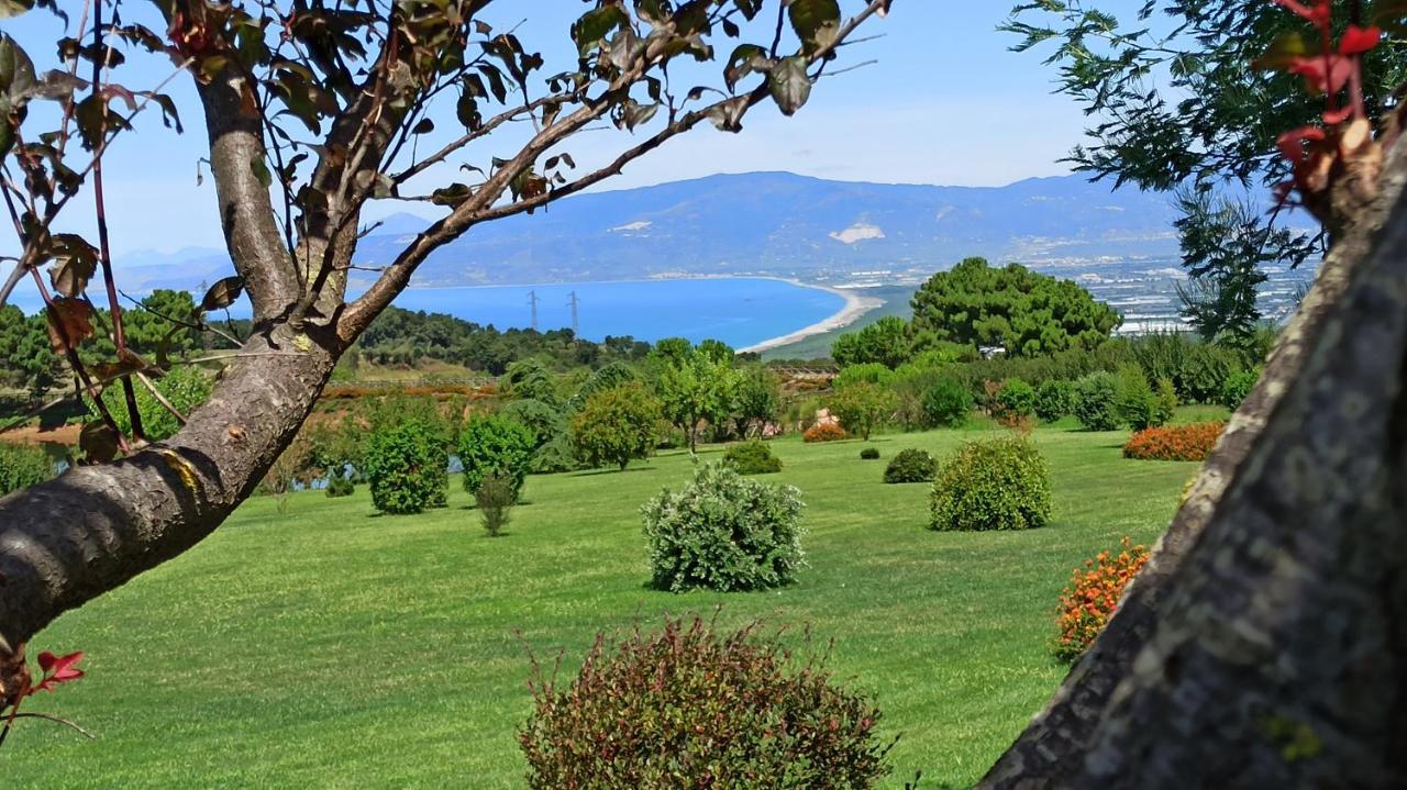Popilia Country Resort Pizzo Kültér fotó